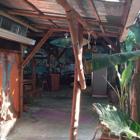 فندق Osa Surf House Puerto Jiménez المظهر الخارجي الصورة
