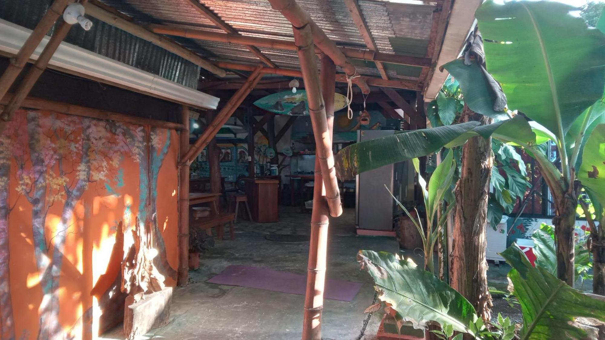 فندق Osa Surf House Puerto Jiménez المظهر الخارجي الصورة